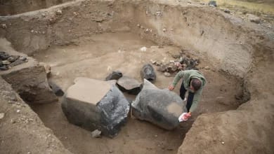 One-ton Urartian basalt statue from Garibin Tepe, uncovered in Tusba district, Van, Türkiye, October 2024.