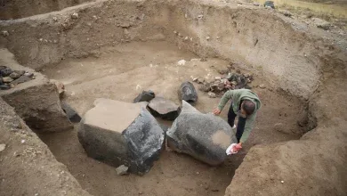 One-ton Urartian basalt statue from Garibin Tepe, uncovered in Tusba district, Van, Türkiye, October 2024.