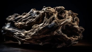 Agarwood, also known as oud, burning to release fragrant smoke, symbolizing purity in Islamic tradition.